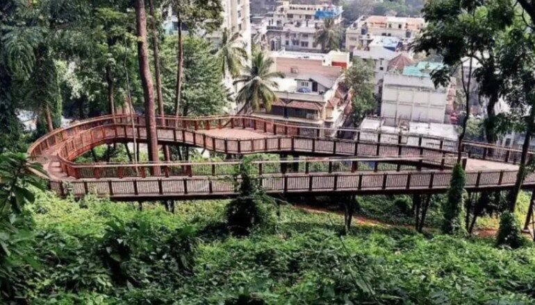 Malabar Hill Elevated Nature Trail